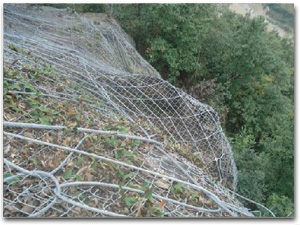 ߅�·��o(h��)�W(w��ng)