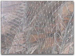 ߅�·��o(h��)�W(w��ng)