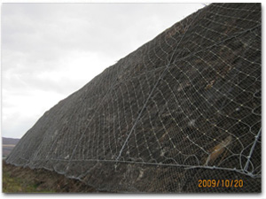 ߅�·��o(h��)�W(w��ng)