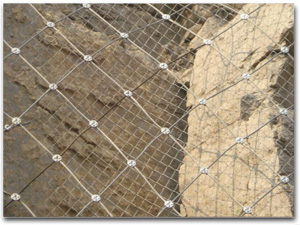 ߅�·��o(h��)�W(w��ng)