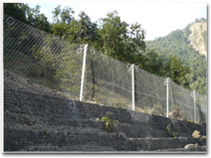 ߅�·��o(h��)�W(w��ng)