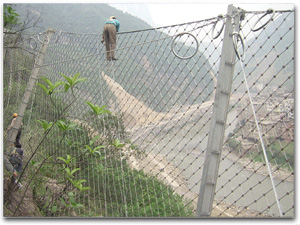 ߅�·��o(h��)�W(w��ng)