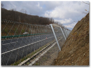 ߅�·��o(h��)�W(w��ng)