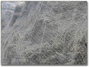 ����߅�·��o�W(w��ng)