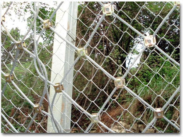 ߅�·��o(h��)�W(w��ng)