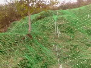 GNS߅�·��o(h��)�W(w��ng)