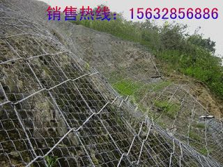 �g���W(w��ng)