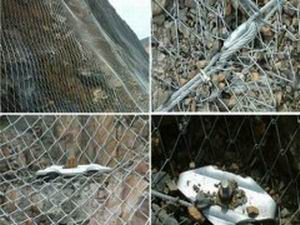 ���ӷ��o(h��)�W(w��ng)