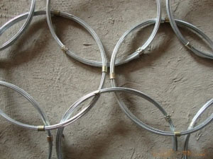 ߅�·��o(h��)�W(w��ng)