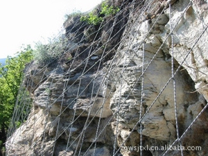 ֩��W(w��ng)|SPIDERϵ�y(t��ng)